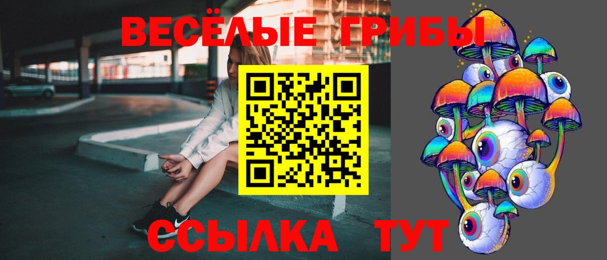 Гудермес  Галлюциногенные грибы Psilocybe  Галлюциногенные грибы мухоморы  Вход с VPN 